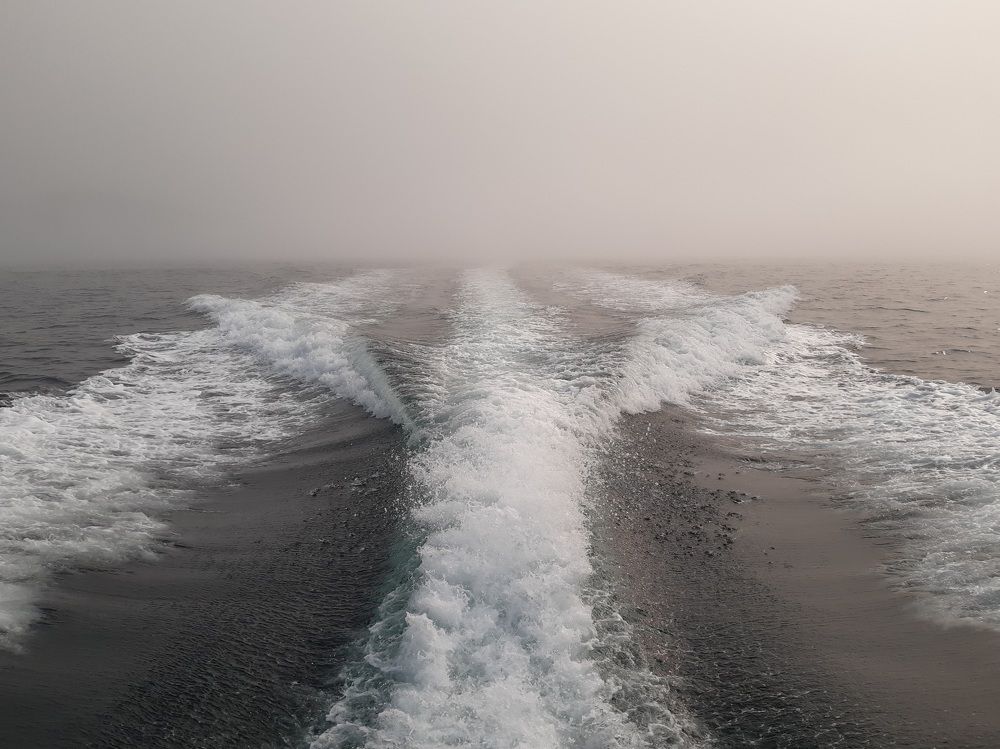 Photograph by Людмила Лаврентьева