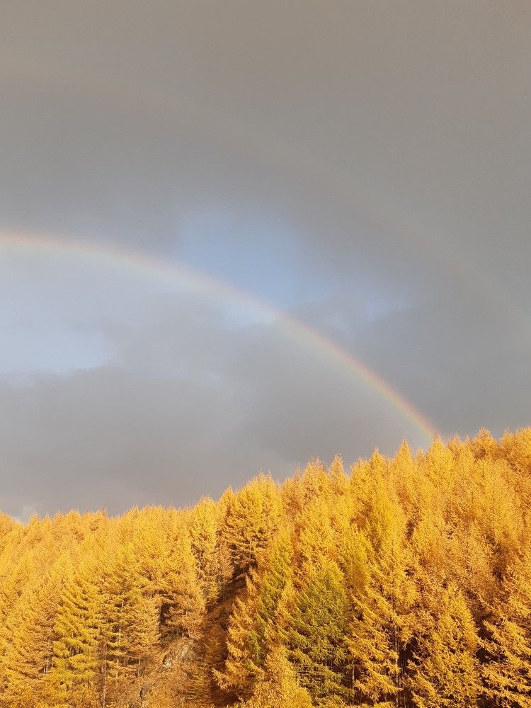 Photograph by Людмила Лаврентьева