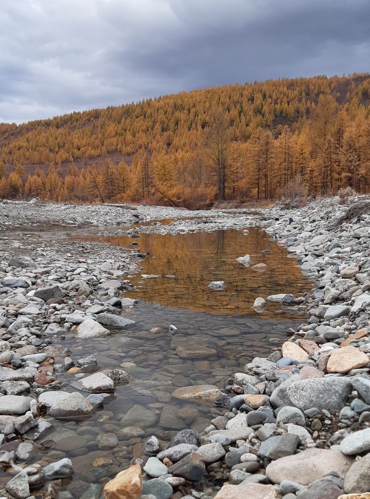 Photograph by Людмила Лаврентьева