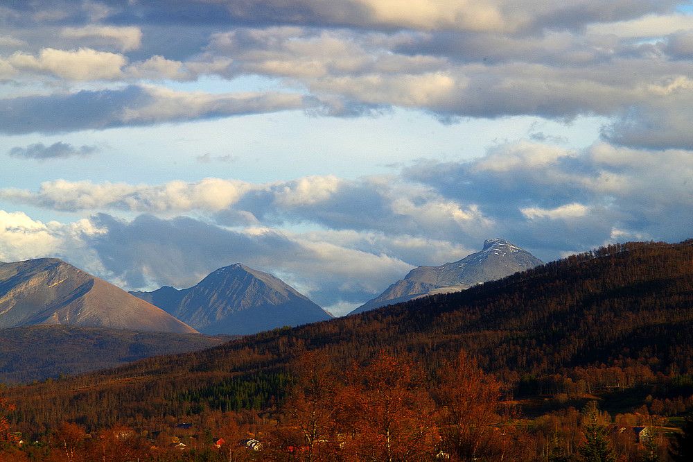 Photograph by Radu Marian