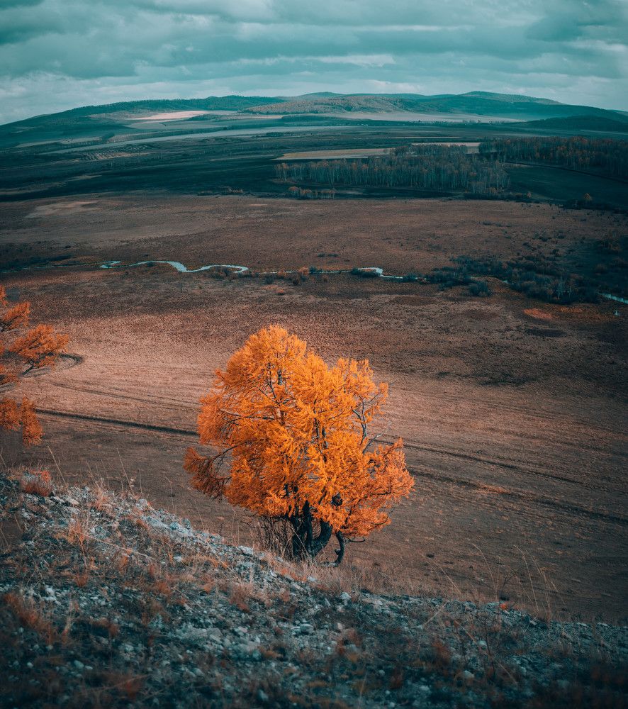 Photograph by Денис Рузаев
