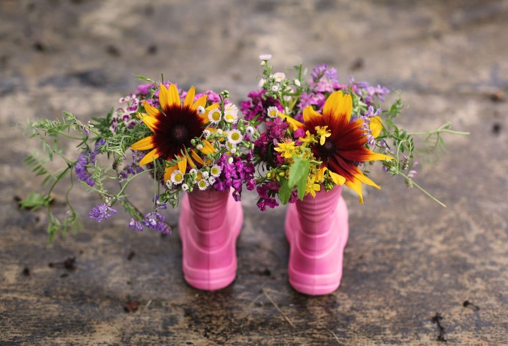 Photograph by Ольга Гаврилова