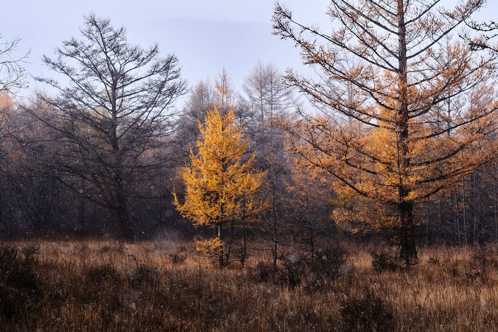 Photograph by Александр Мольков