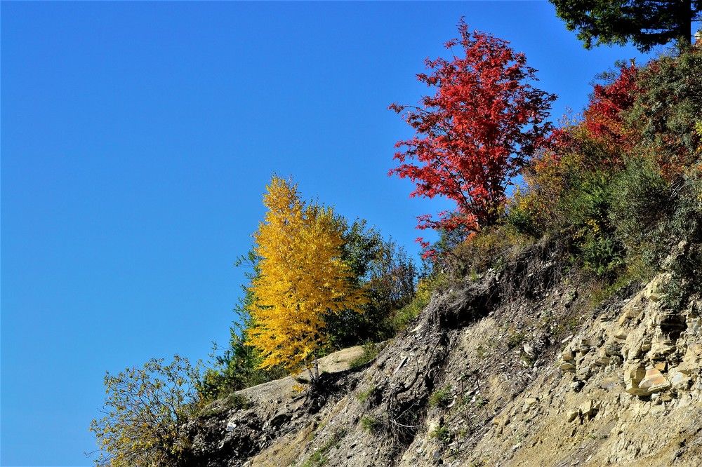 Photograph by Сергей Зубов