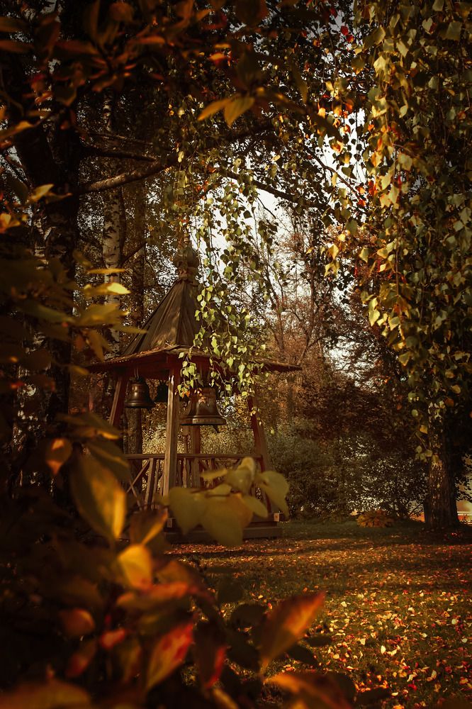 Photograph by Кристина Огранович