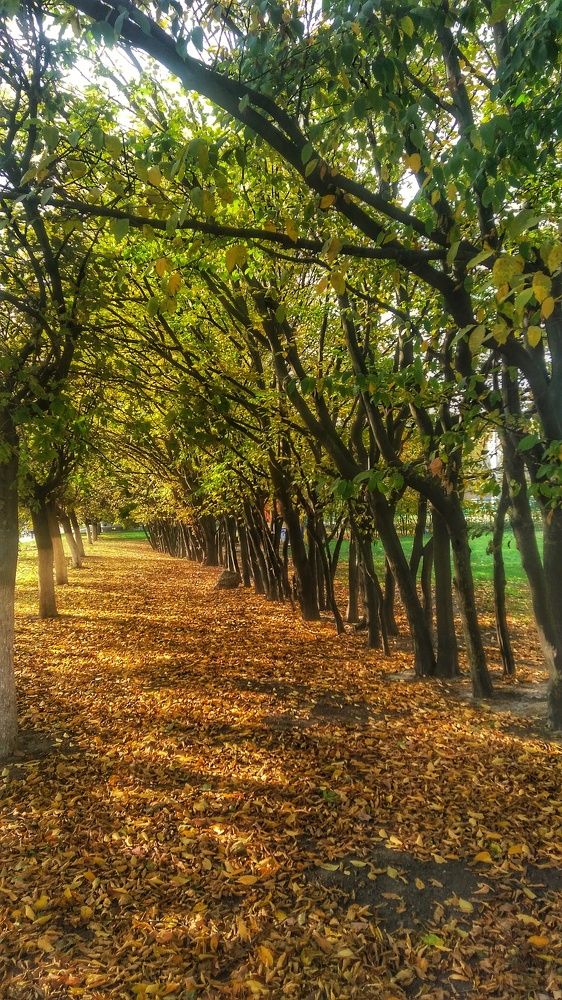 Photograph by Дарья