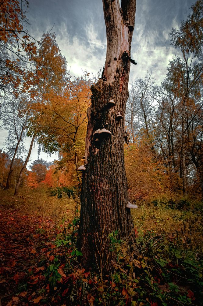 Photograph by Кристина Огранович