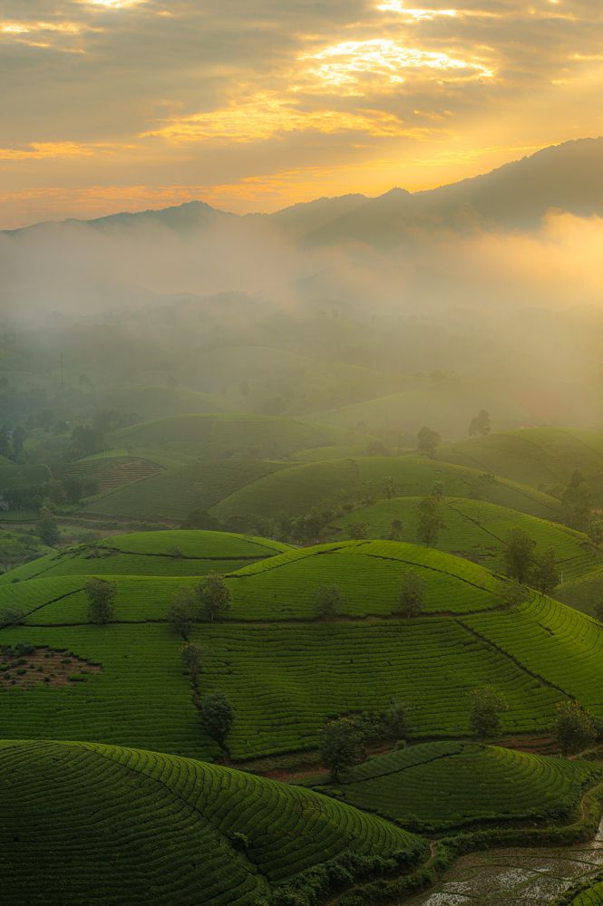 Photograph by Chris Duy