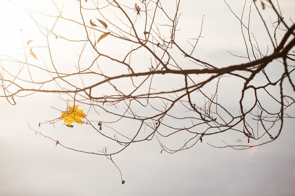 Не удержаться