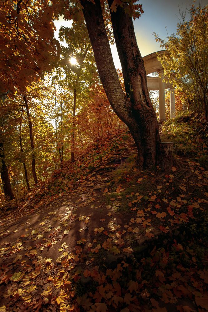 Photograph by Кристина Огранович