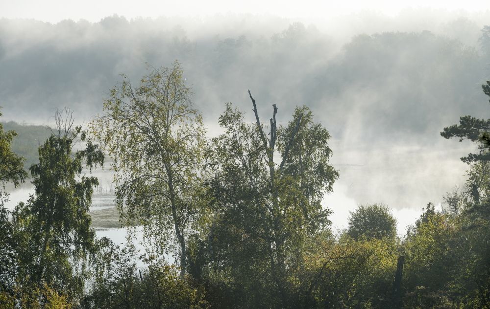 Photograph by Валентин Казанцев