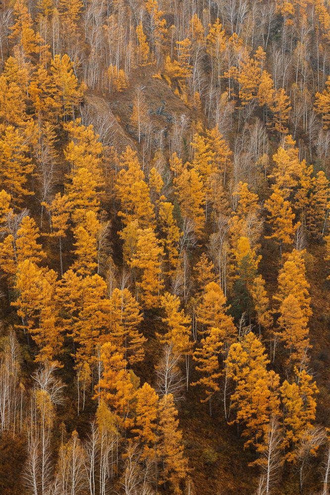 Фотография автора Анна Рыжкова