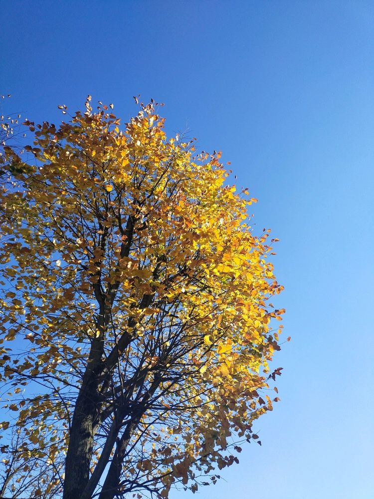 Photo #6711692