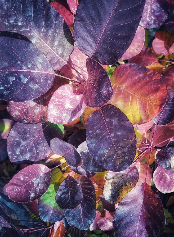 Photograph by Людмила М