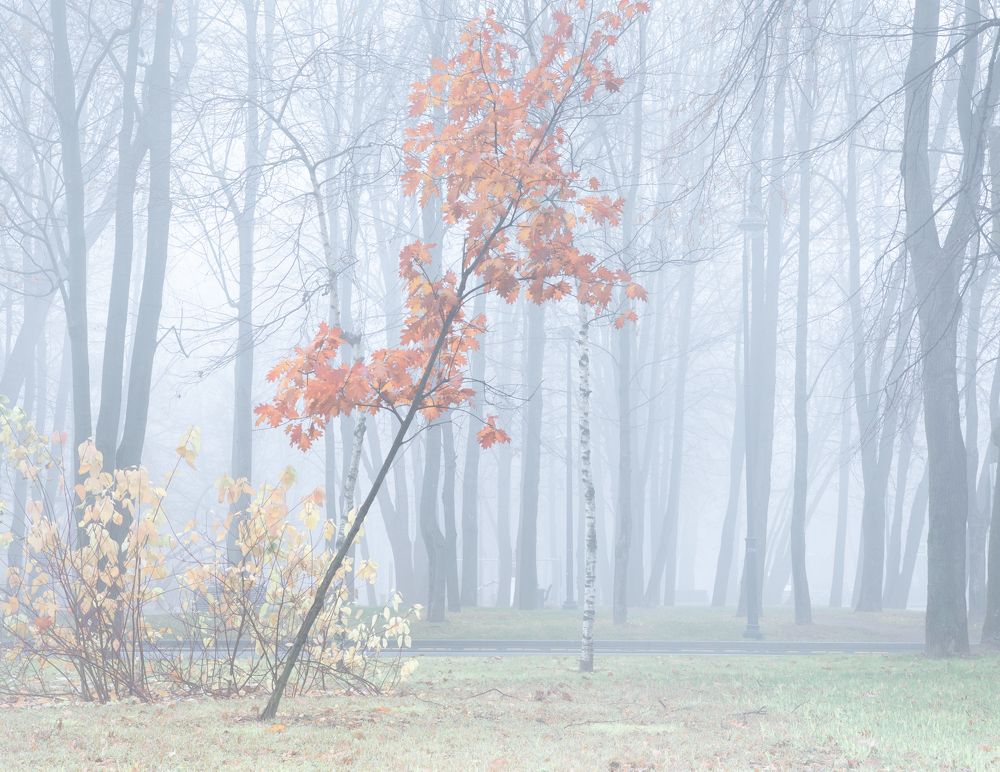 Photograph by Michael Levinsky