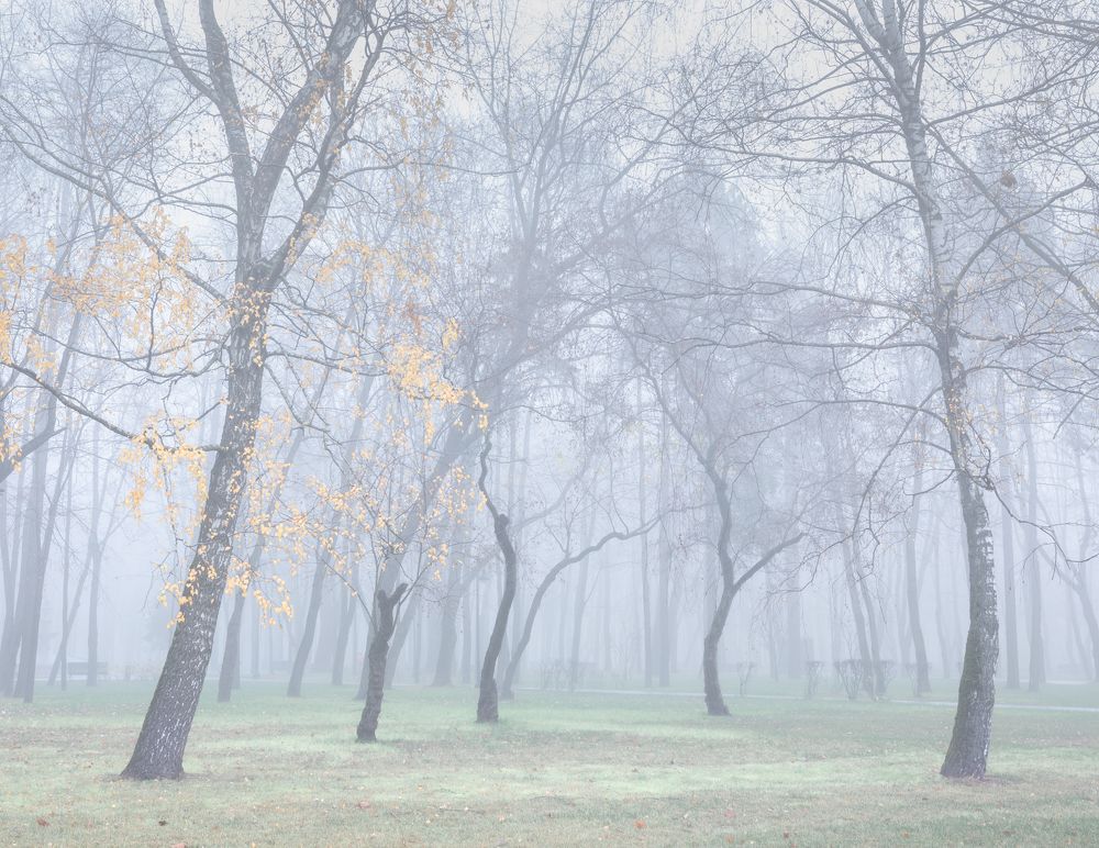 Photograph by Michael Levinsky