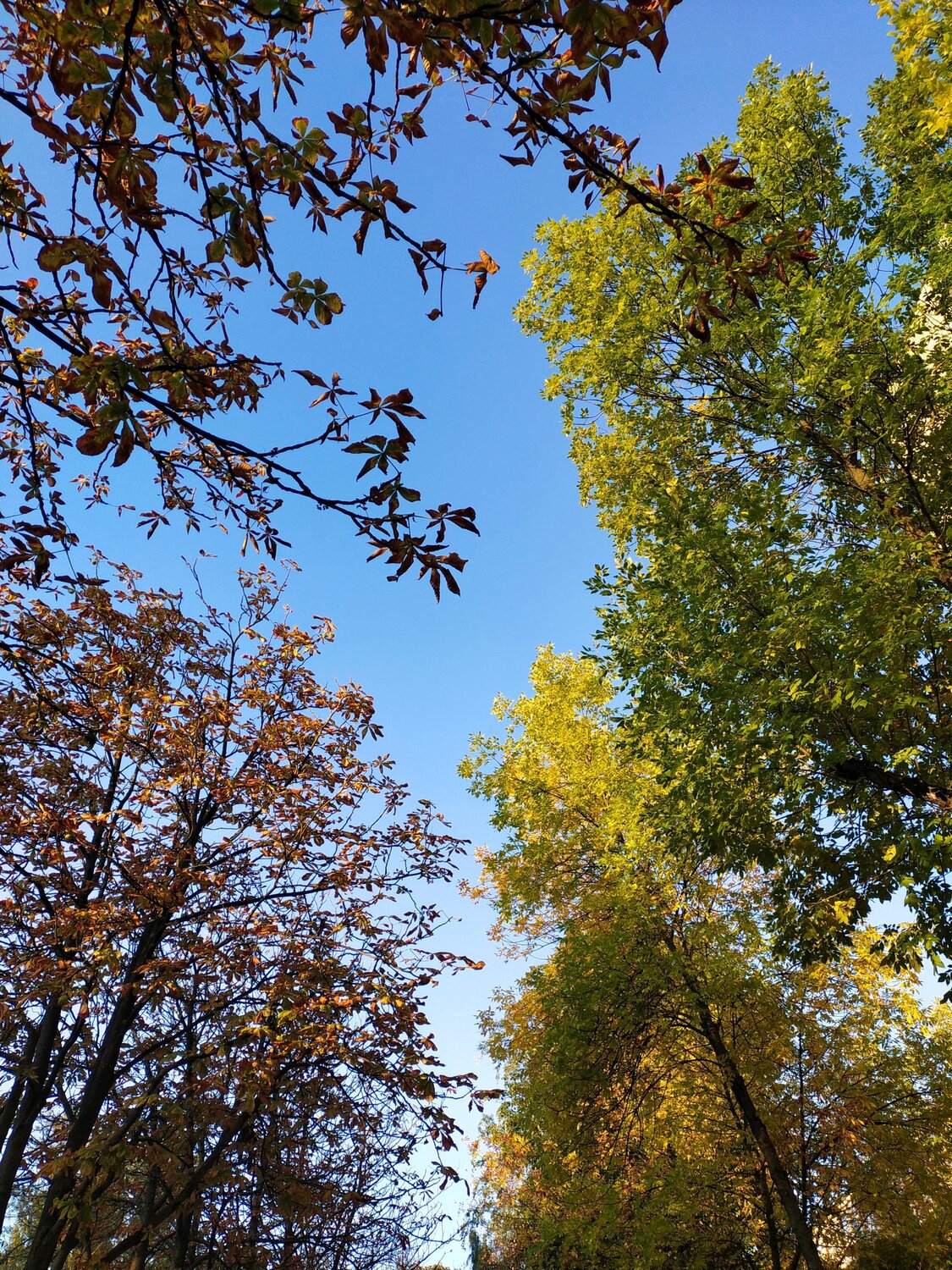 Photo #6711703