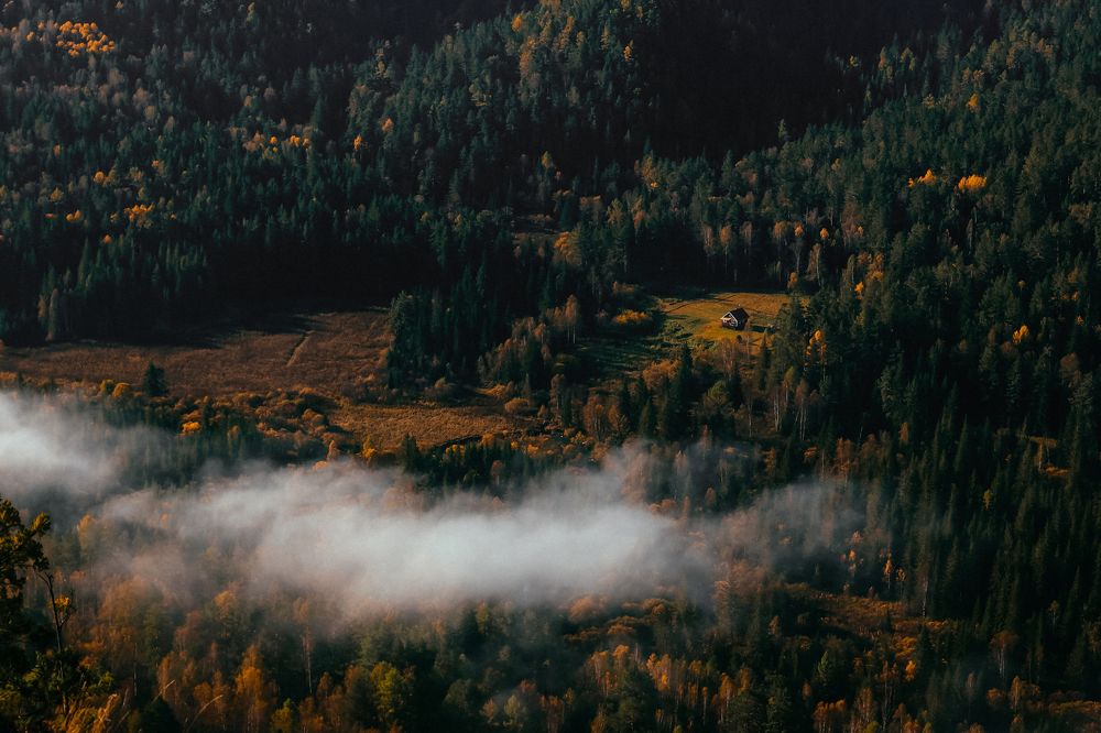 Фотография автора Анна Рыжкова