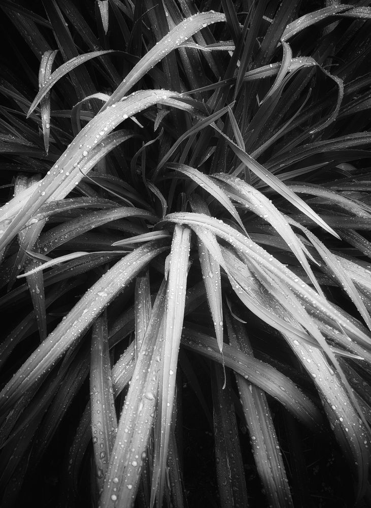 Photograph by Людмила М