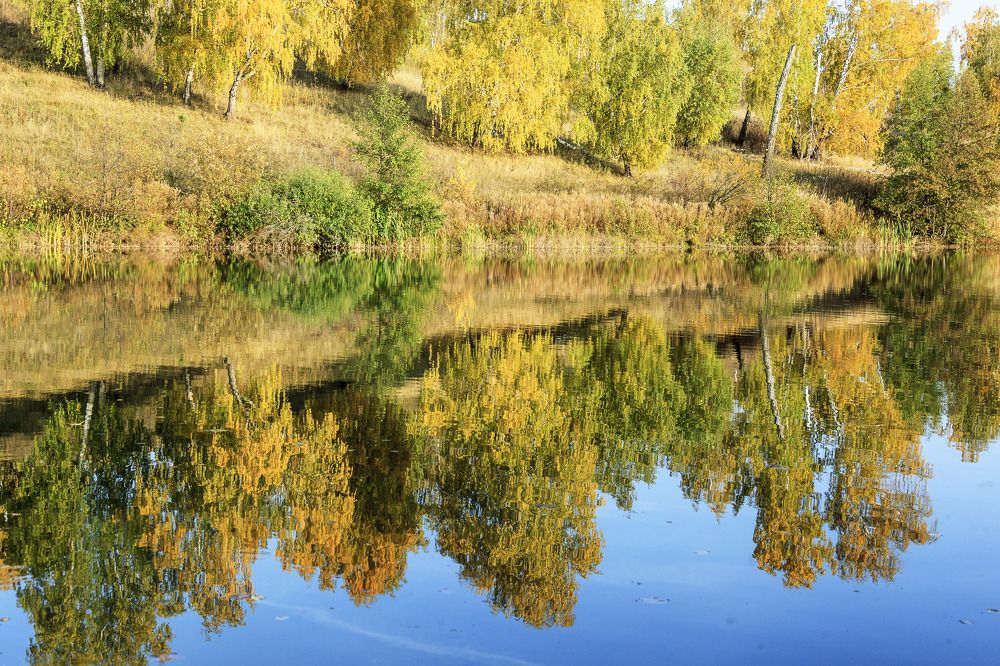 Фотография автора Рамиль Фаттахов