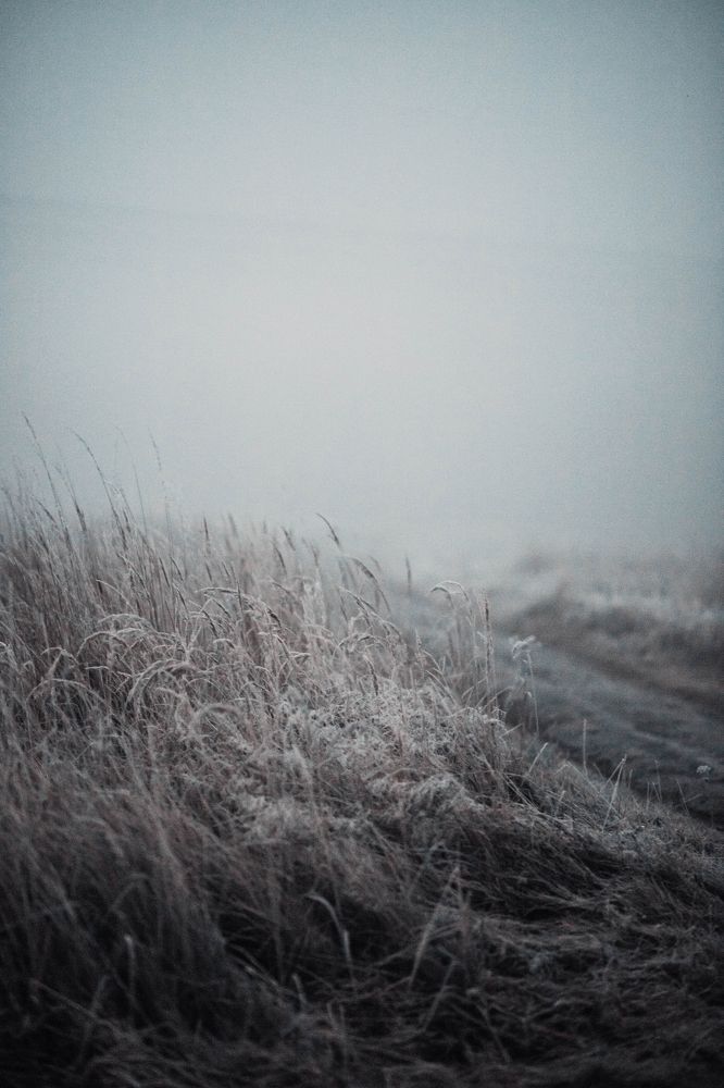 Photograph by Шельменков Артур