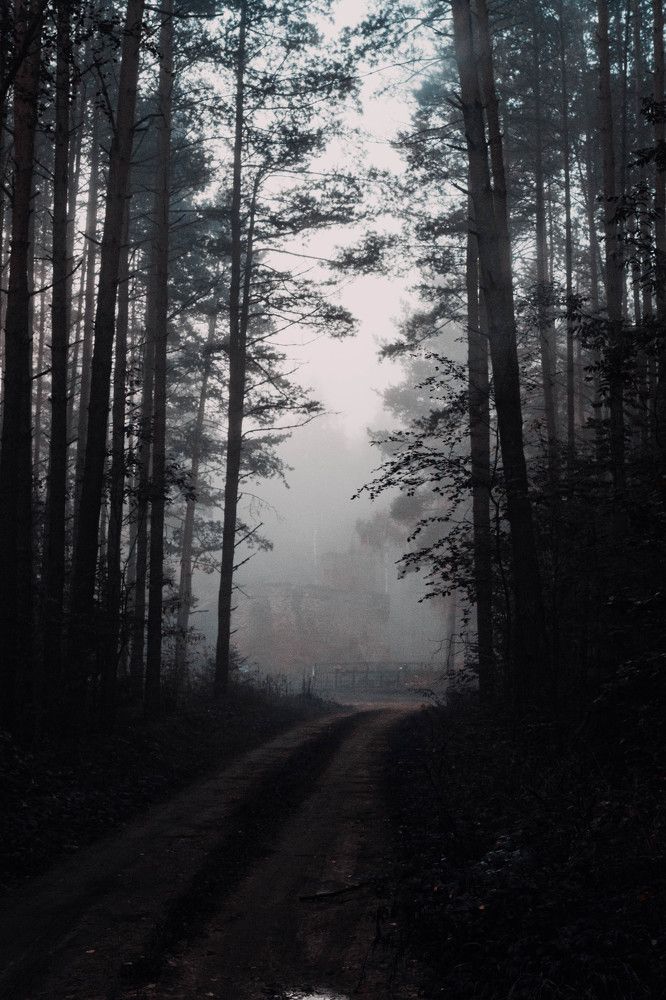 Photograph by Шельменков Артур