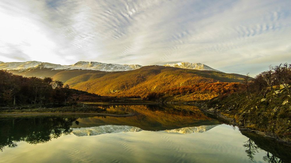 Фотография автора Raul Torres