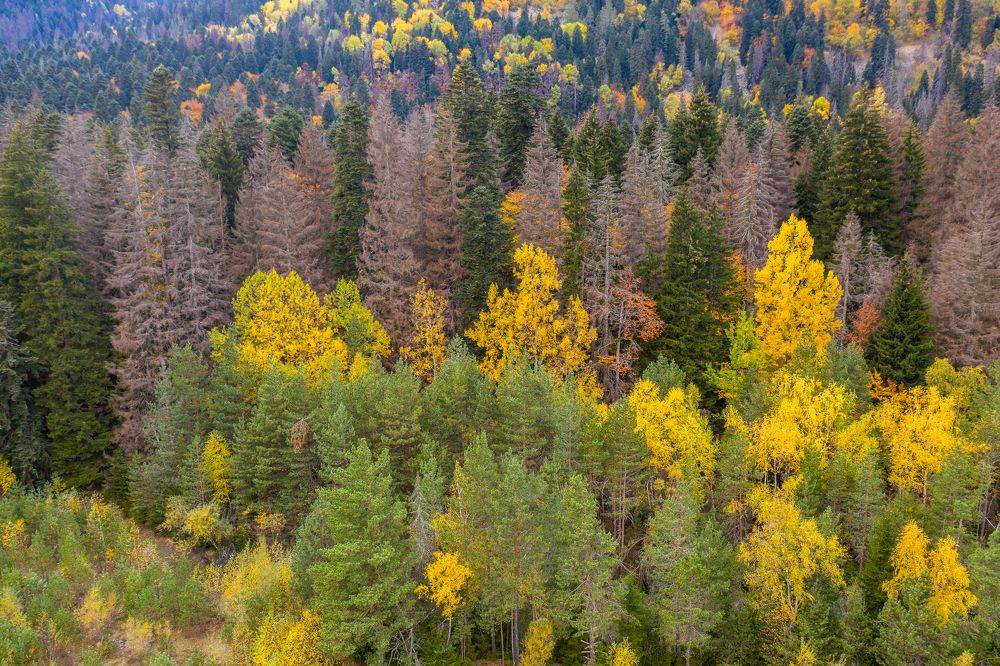 Photograph by Баландин Дмитрий