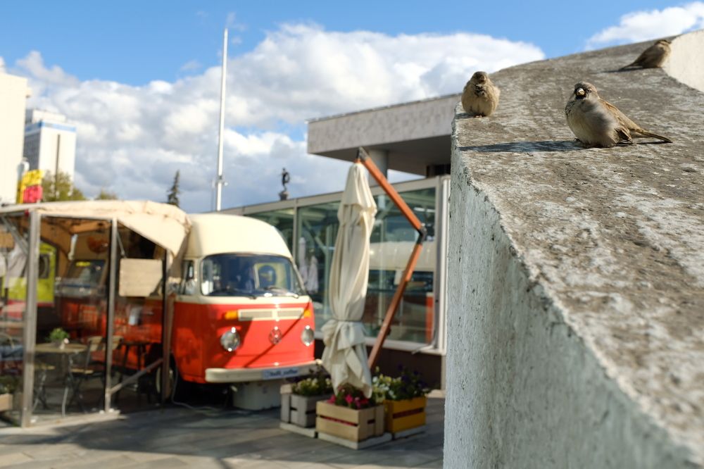 Photograph by Семен Батов