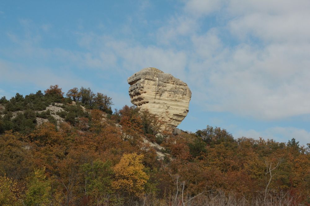 Photograph by Дарья Расшивина