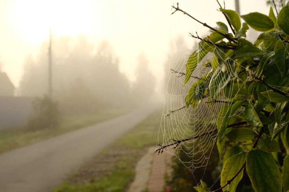 Photograph by Семен Батов