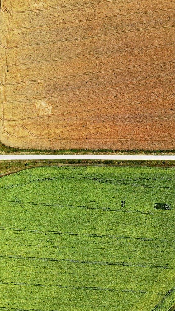 Photograph by Александр Кузнецов