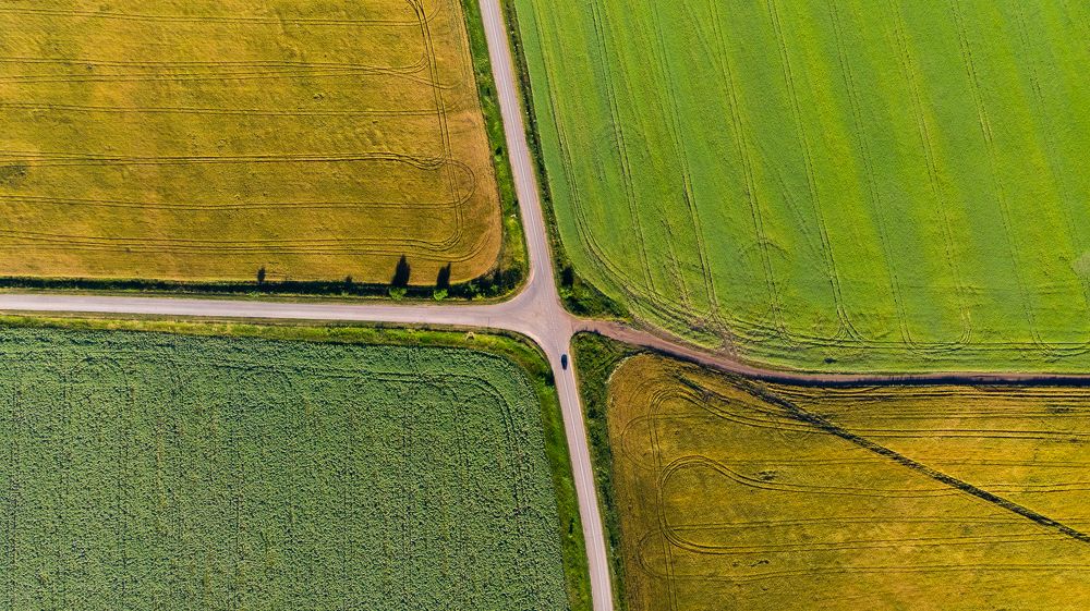 Photograph by Александр Кузнецов