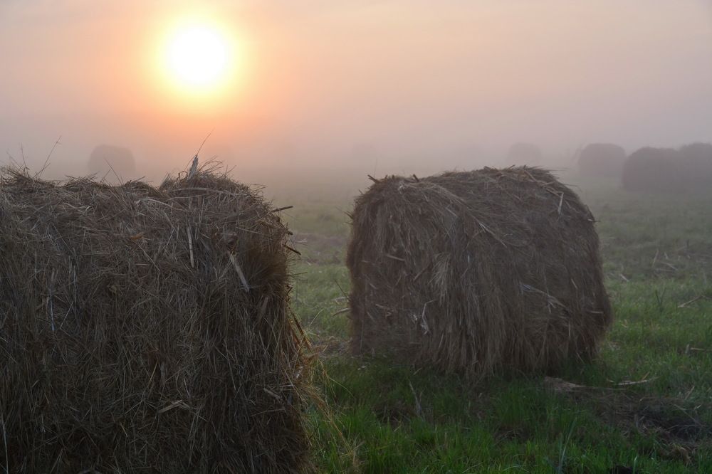 Photograph by Andrey