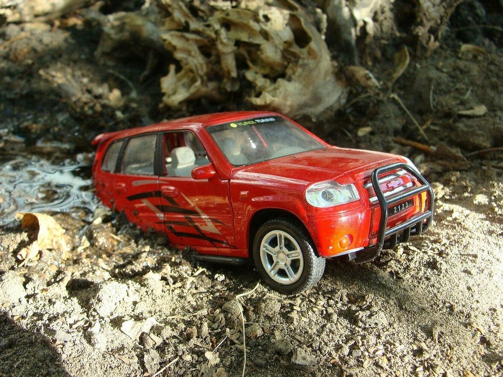 Фотография автора Павел Попов