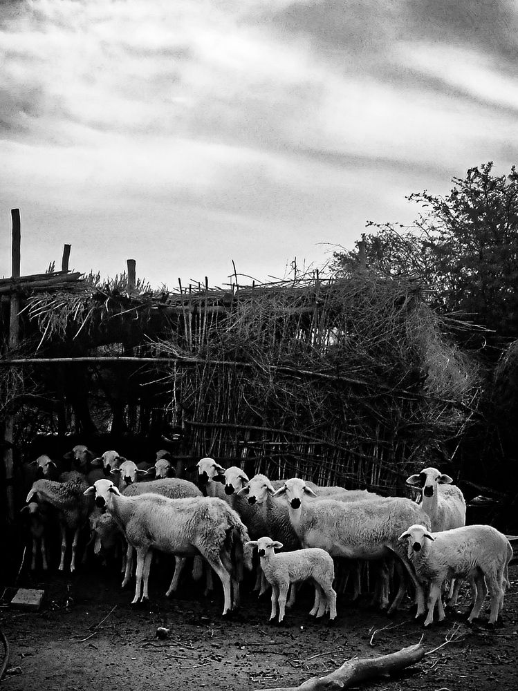 Photograph by Achraf