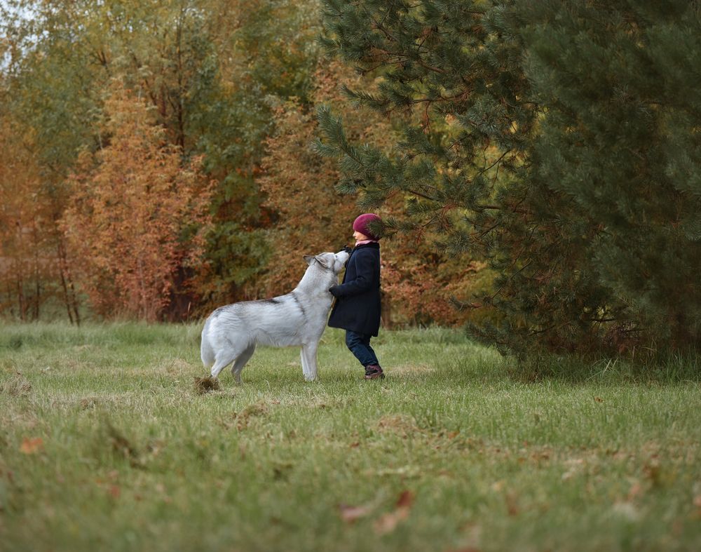 Photograph by Ирина Кленкова