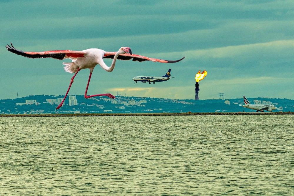 Photograph by René Richard Verona