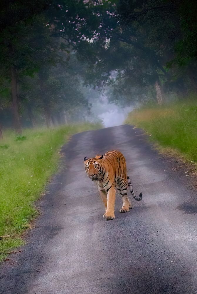 Photograph by Aniket Karane