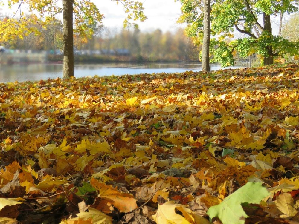 Photograph by Валерия