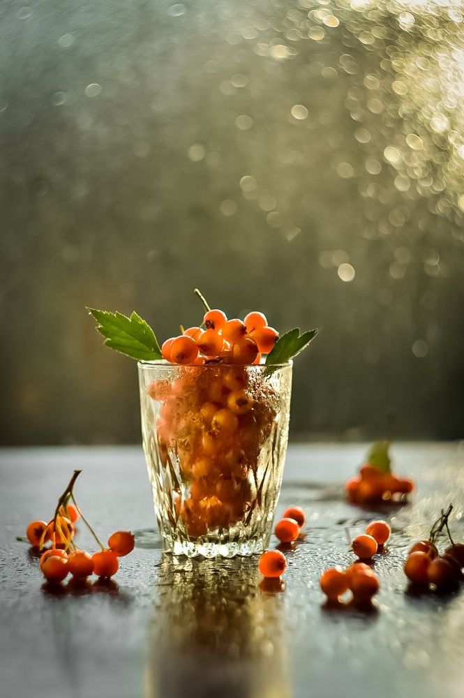 Photograph by Ирина Вольф