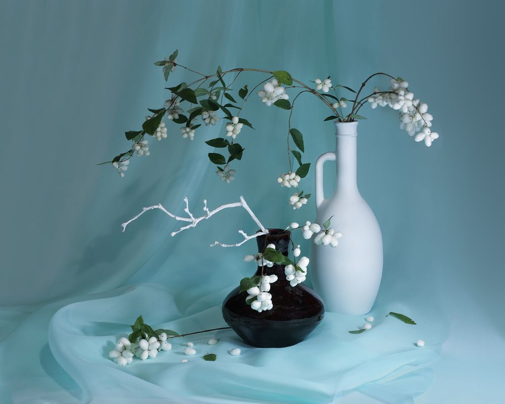 Photograph by Ольга Заболотская