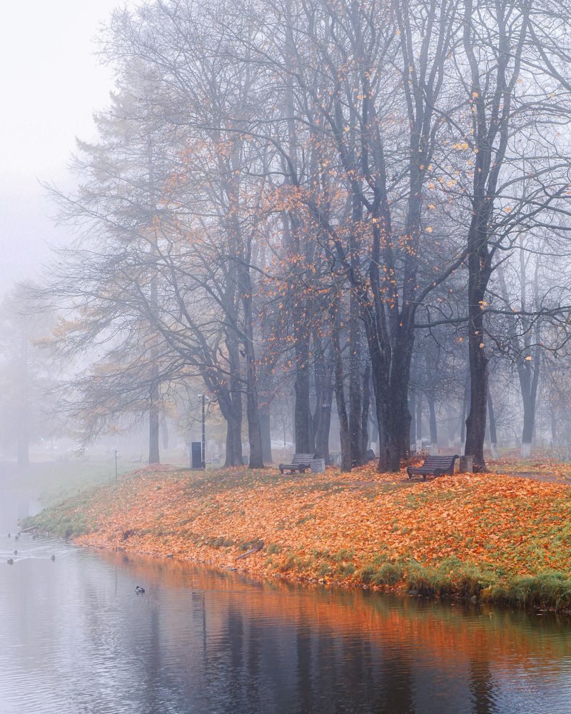 Фотография автора Юрий Тихонов