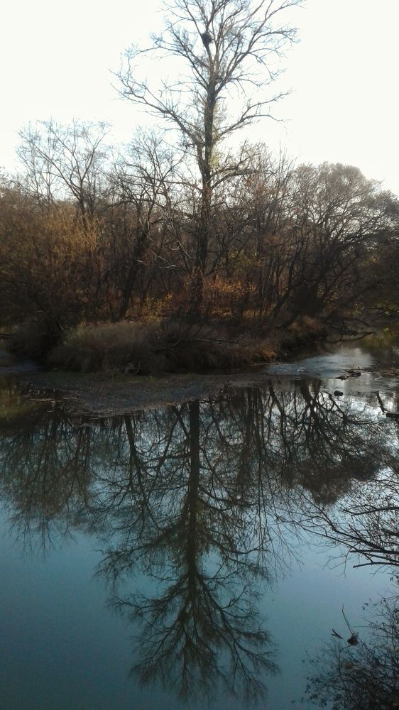 Photograph by Юлия Лихачева