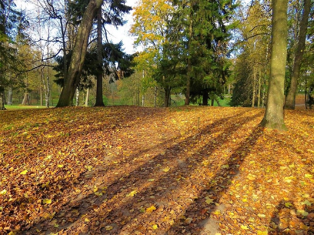 Photograph by Валерия