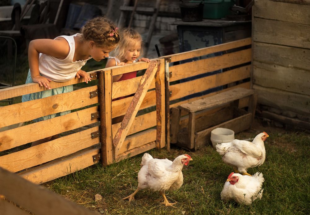 Photograph by Гаранцева Елизавета