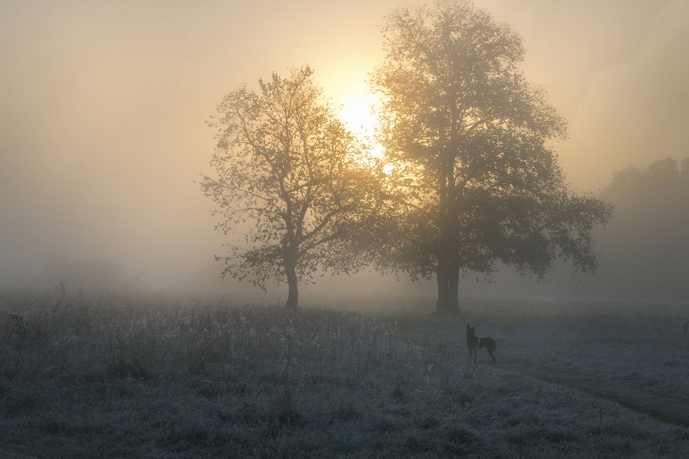 "Встречая рассвет"