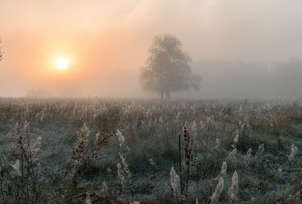 "Рассветная магия"