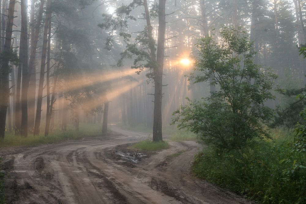 Photograph by Юлия Лаптева