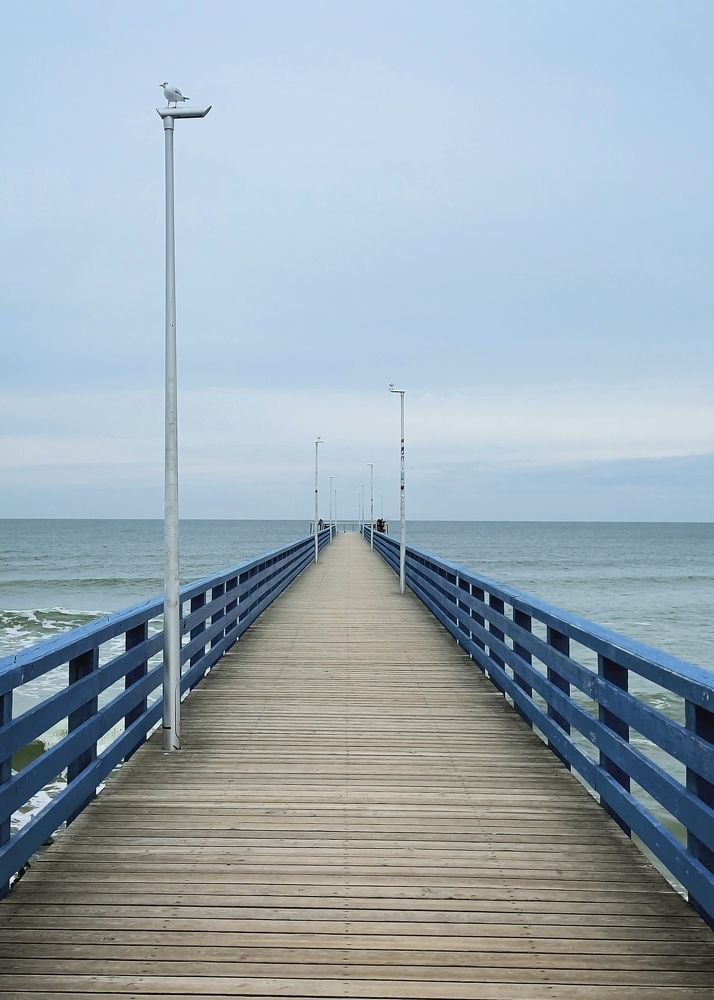 Photograph by Александр Кузнецов